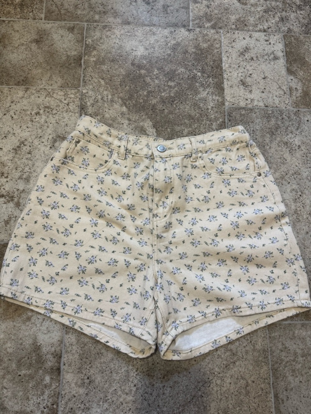 bohme Cream High-Waist Floral Denim Shorts with Blue Blossoms